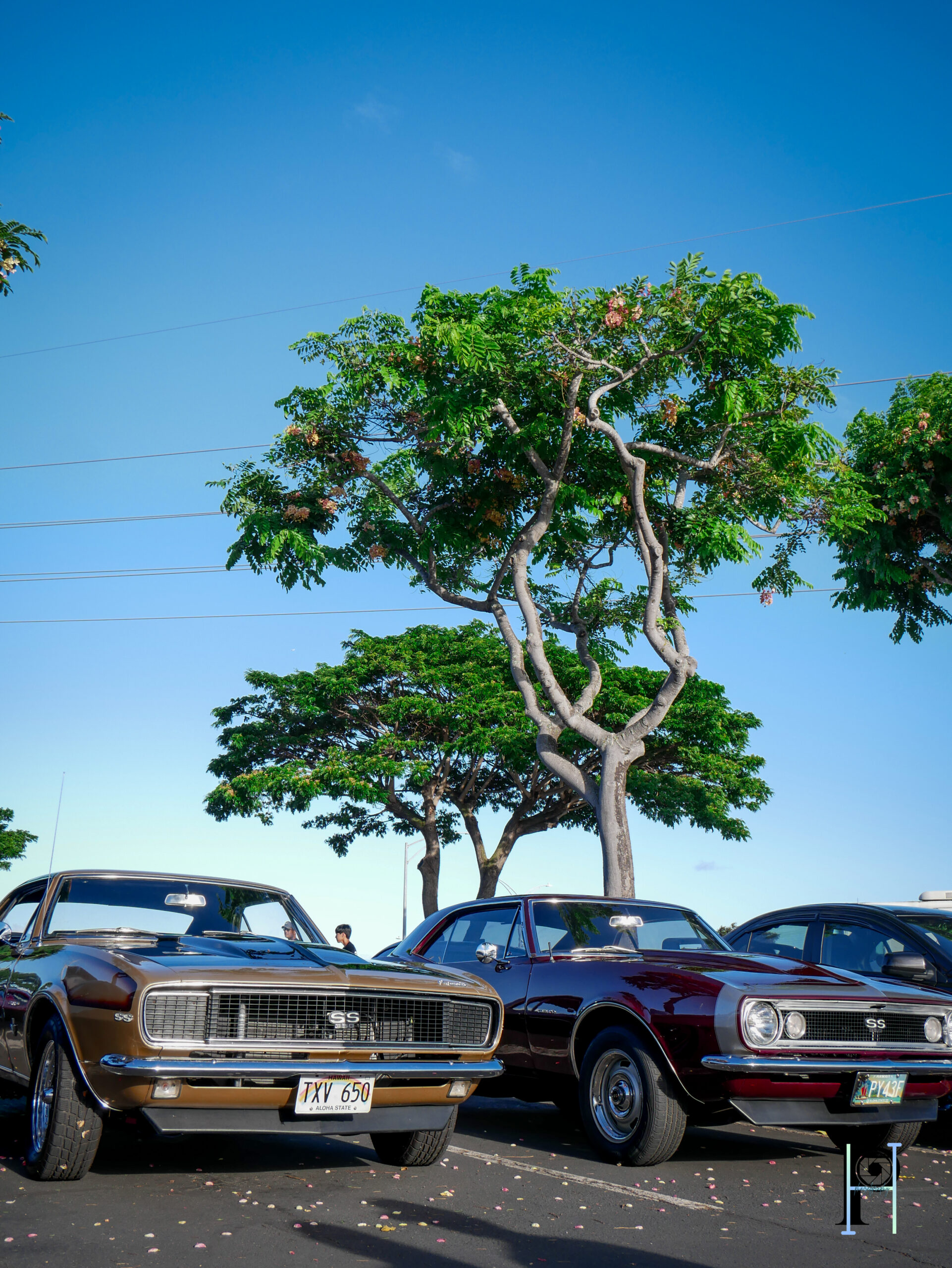 CarMeet-61