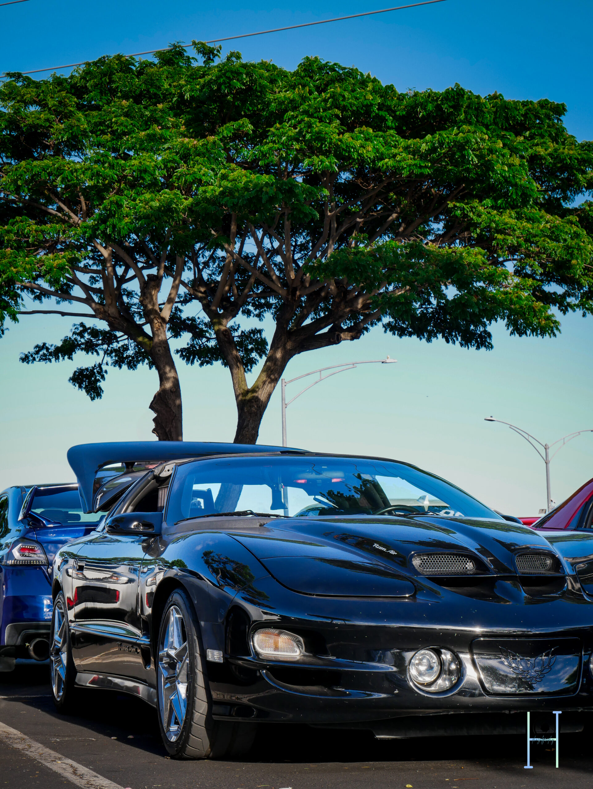 CarMeet-62