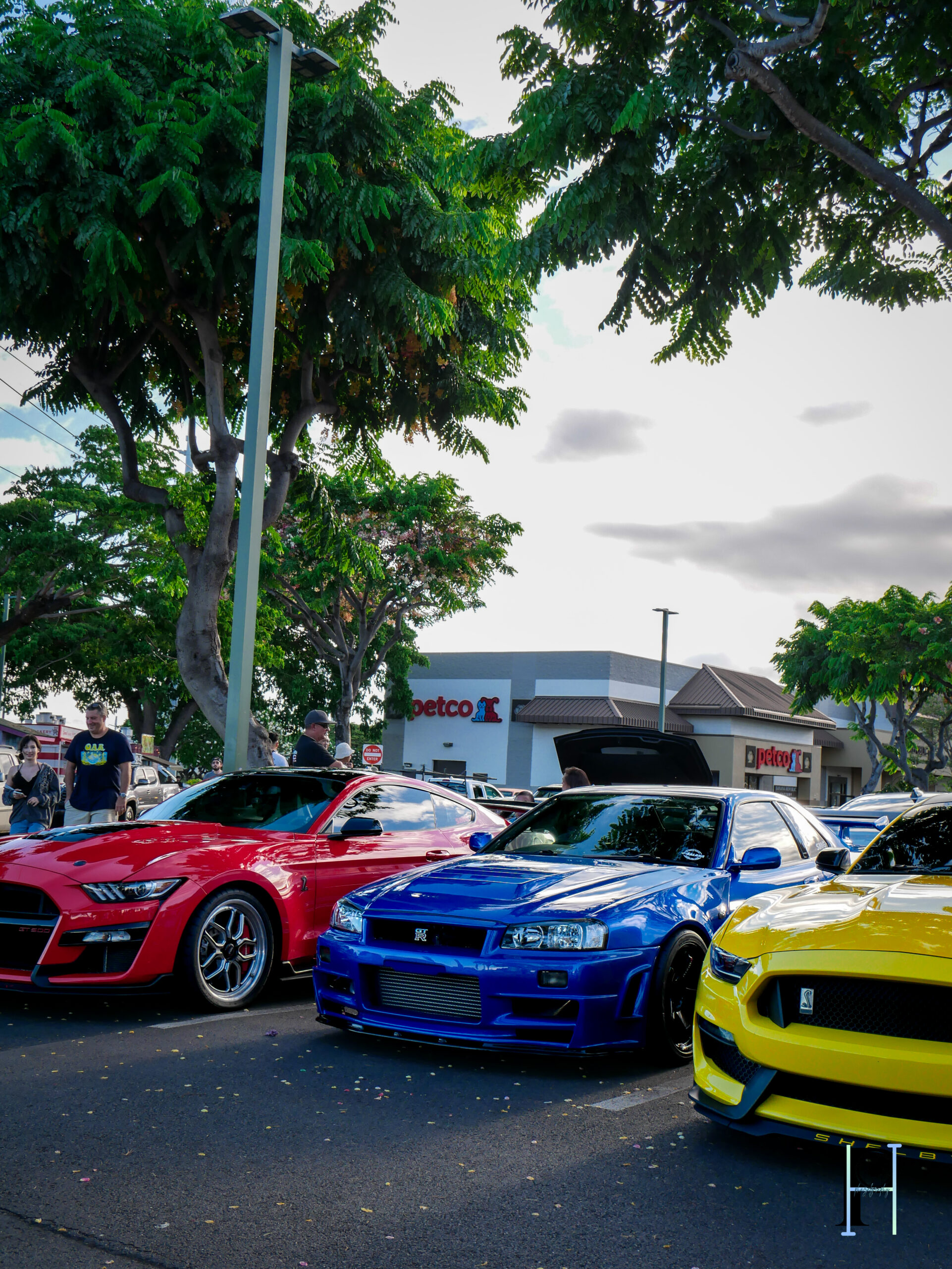 CarMeet-66